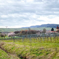 23-03-13 10-47-04 4824